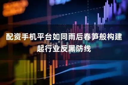 配资手机平台如同雨后春笋般构建起行业反黑防线