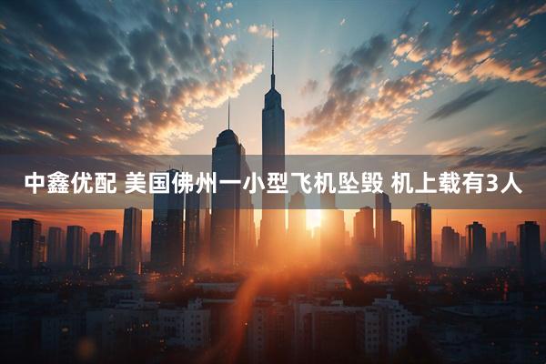 中鑫优配 美国佛州一小型飞机坠毁 机上载有3人