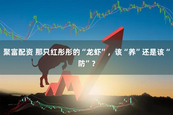 聚富配资 那只红彤彤的“龙虾”,该“养”还是该“防”?