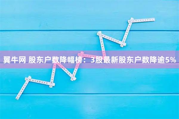 翼牛网 股东户数降幅榜：3股最新股东户数降逾5%